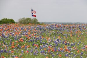 5 Beautiful Small Towns in North Texas